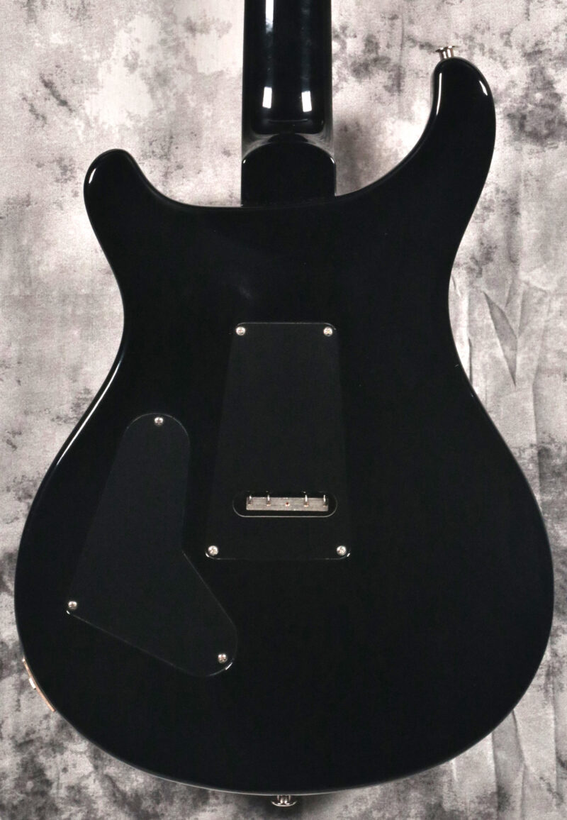 PRS Custom 24 "Floyd" (10-Top) - Image 5