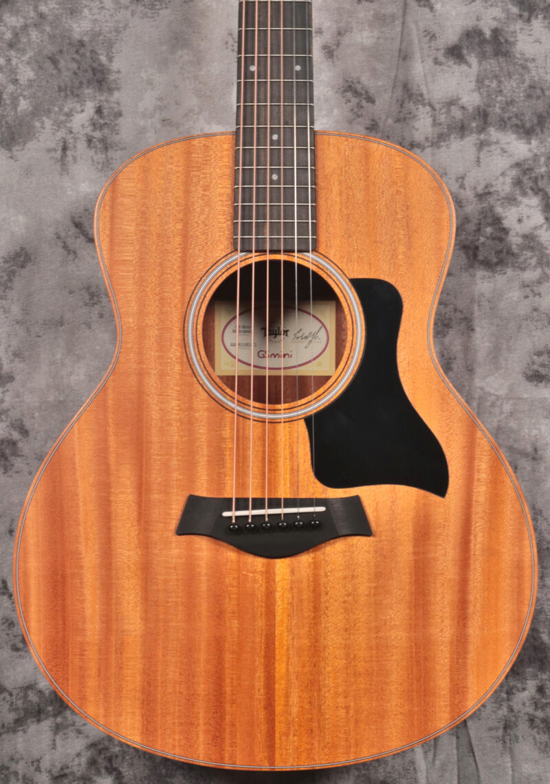 Taylor GS Mini Mahogany