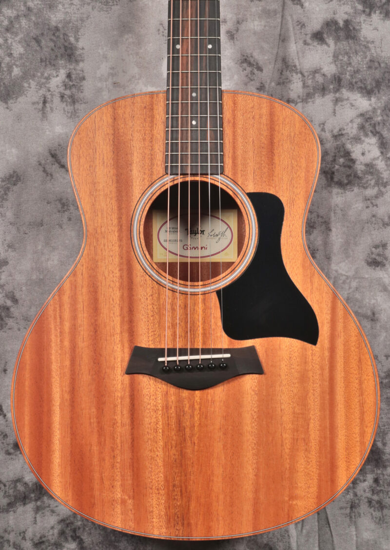 Taylor GS Mini Mahogany