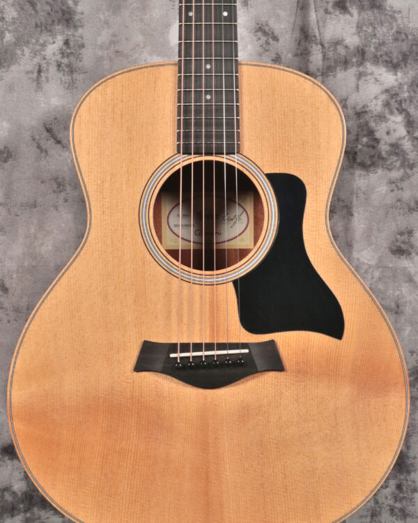 Taylor GS Mini Sapele