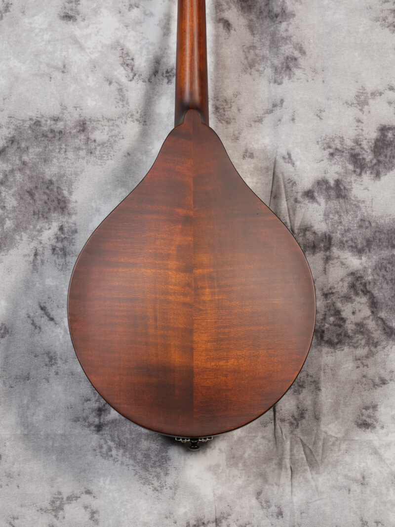 Eastman MD305 - Image 5