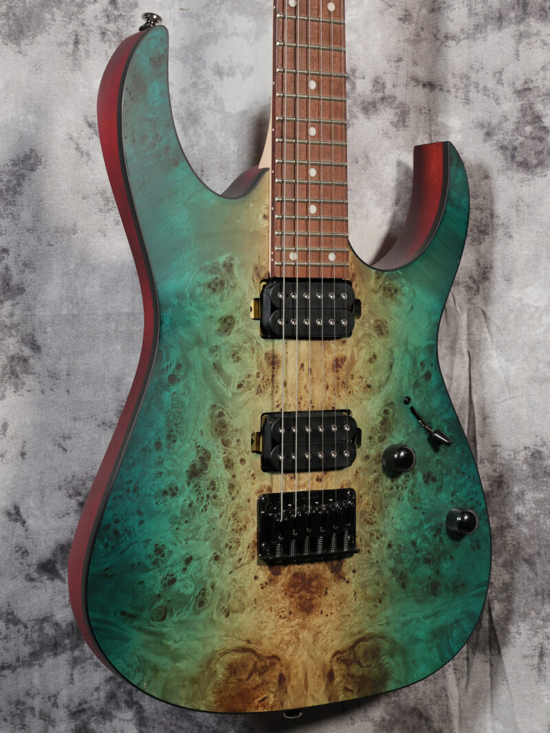 Ibanez Standard RG421PB - Image 2