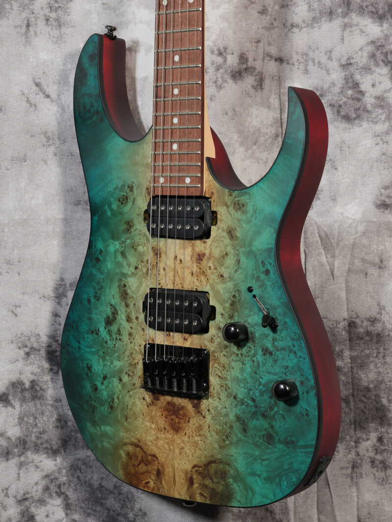 Ibanez Standard RG421PB - Image 3