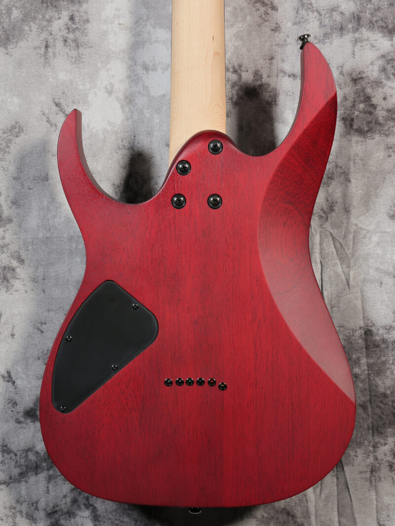 Ibanez Standard RG421PB - Image 5