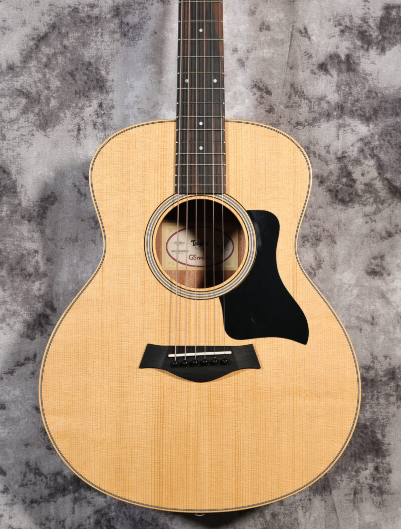 Taylor GS Mini Sapele
