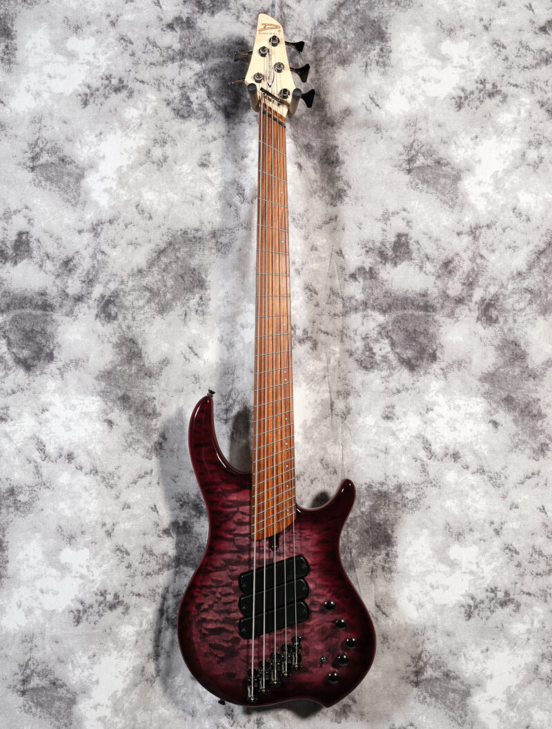 Dingwall Combustion 5-String - Image 4