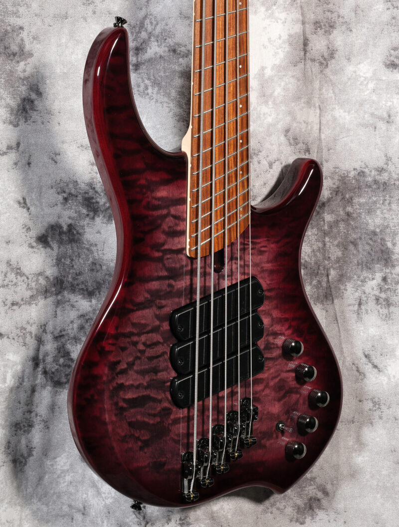 Dingwall Combustion 5-String - Image 2