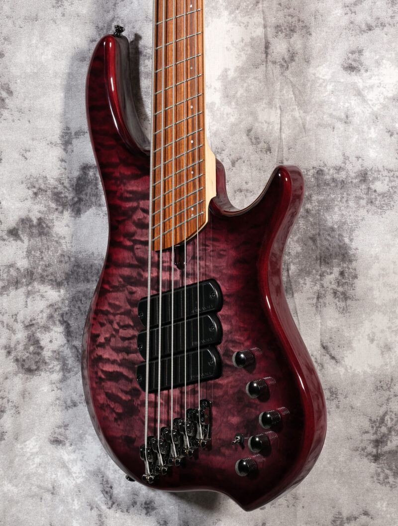 Dingwall Combustion 5-String - Image 3