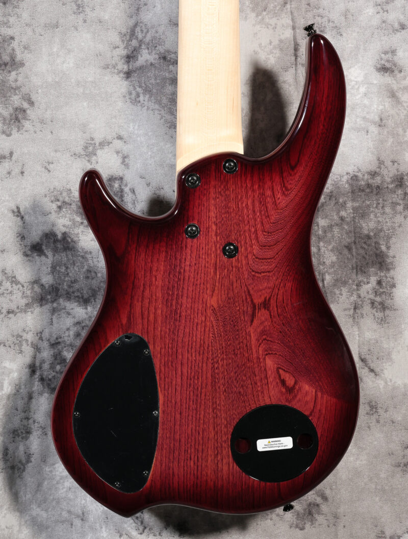 Dingwall Combustion 5-String - Image 5