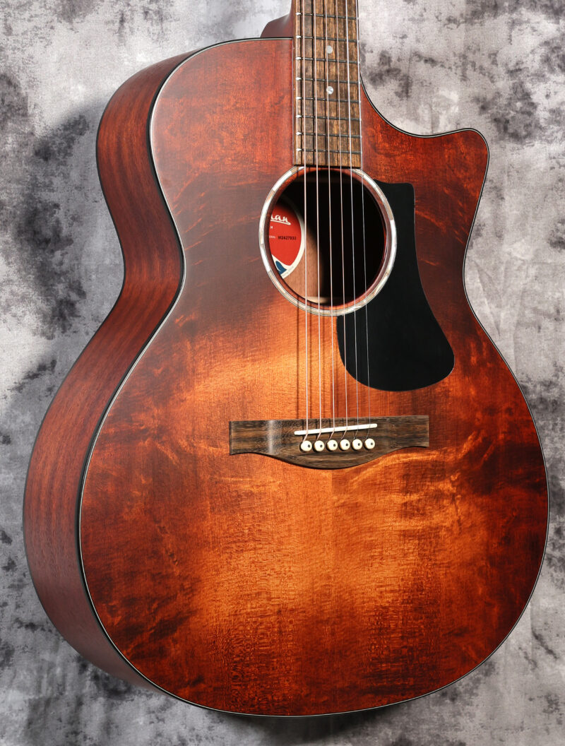 Eastman PCH1-GACE-CLA - Image 2