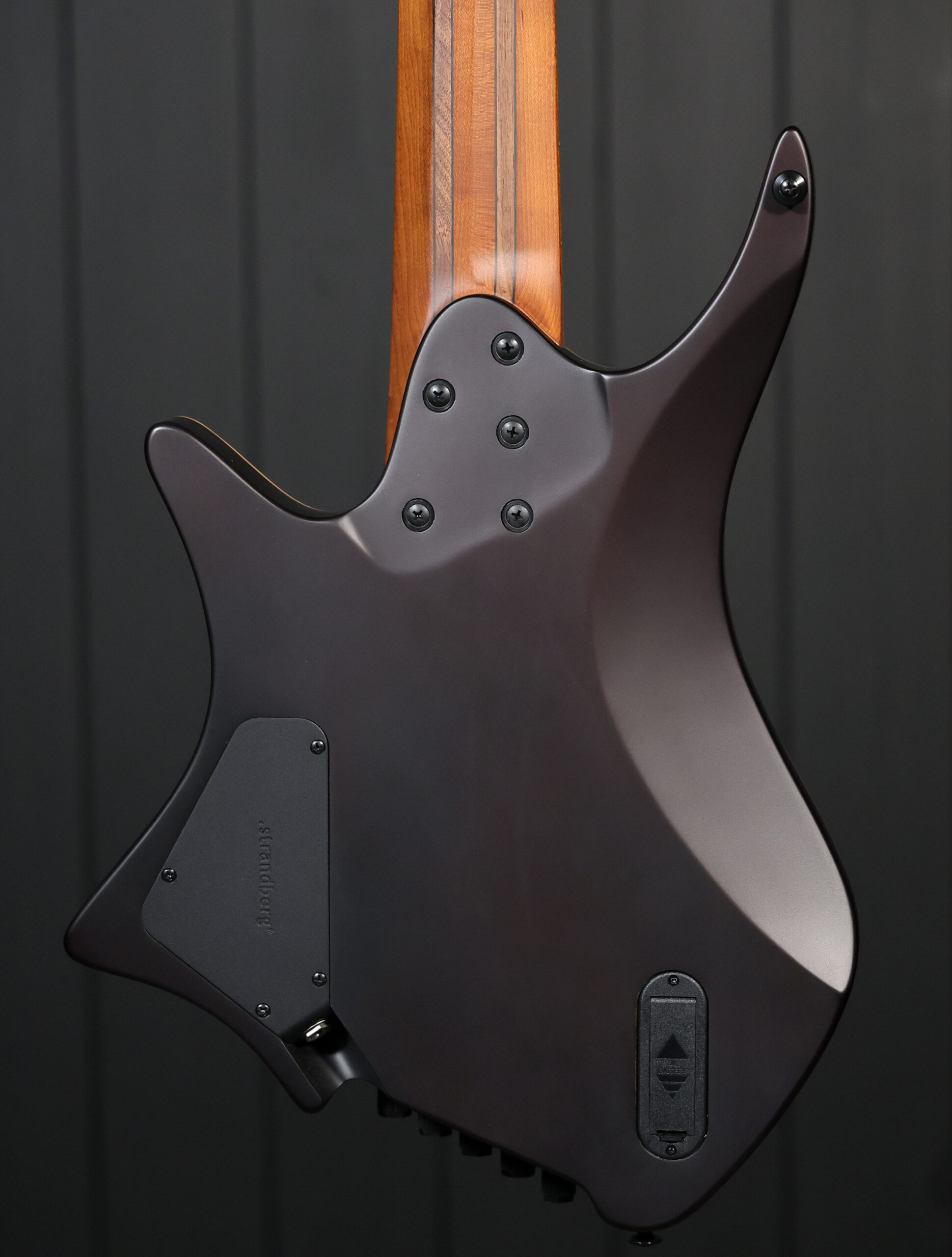 Strandberg Boden Bass Standard 5-String - Image 3