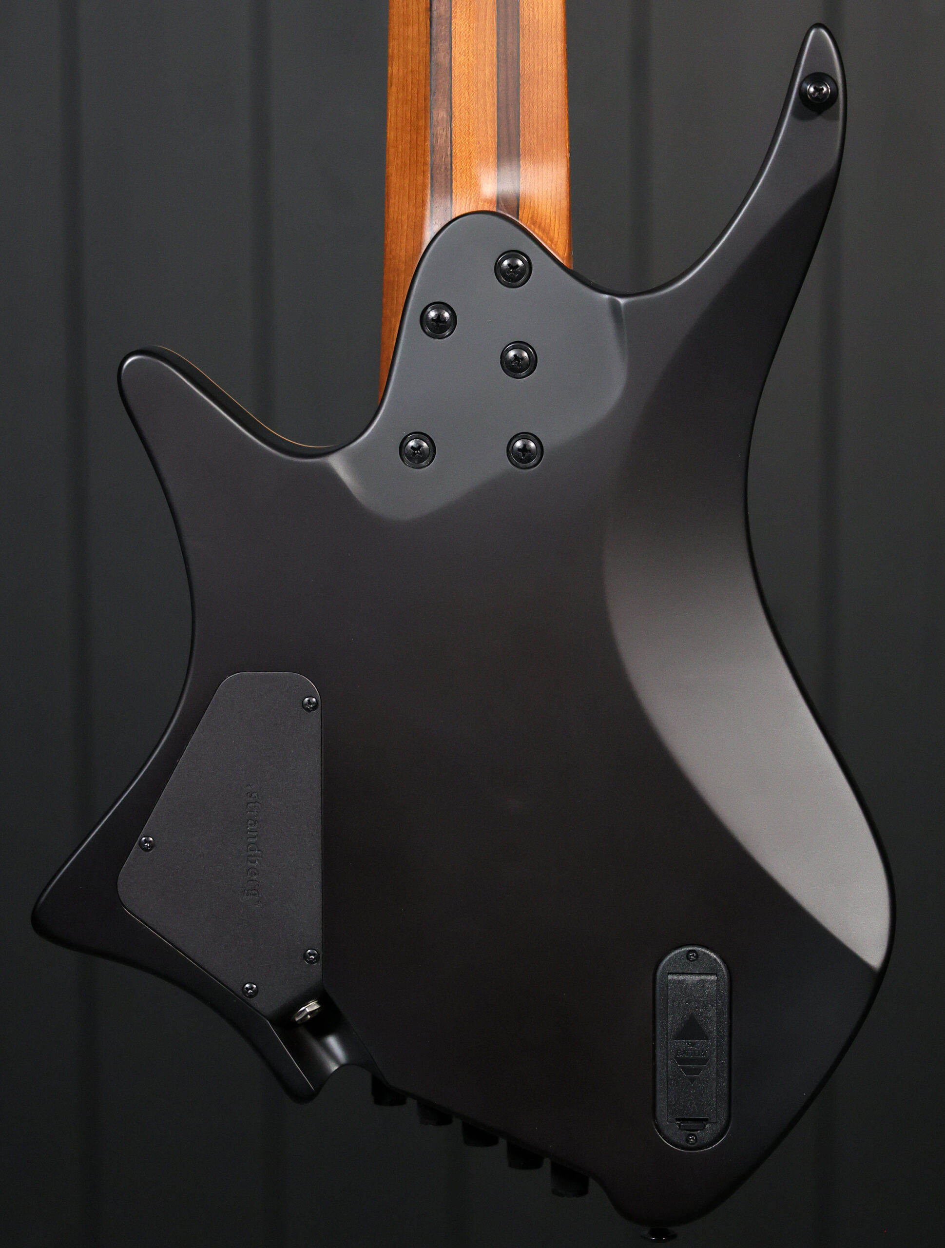 Strandberg Boden Bass Standard 5-String - Image 3