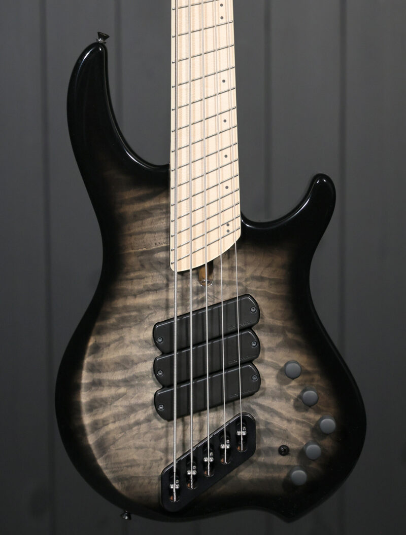 Dingwall Combustion 5-String