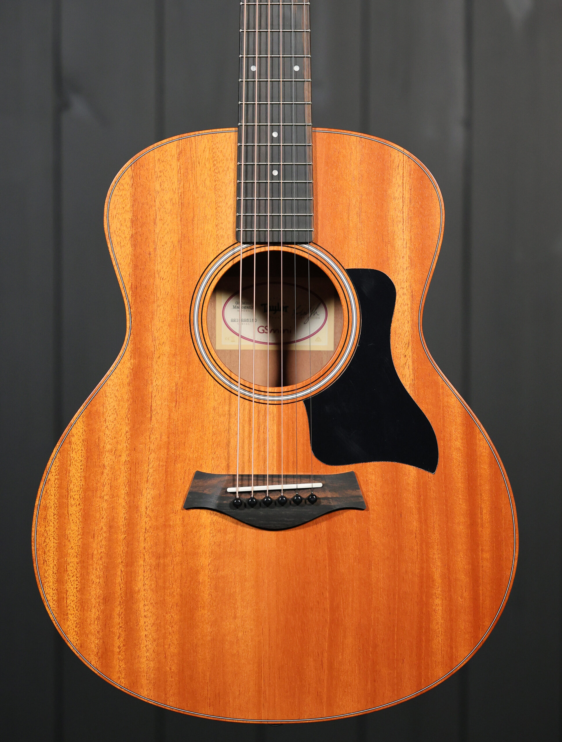 Taylor GS Mini Mahogany
