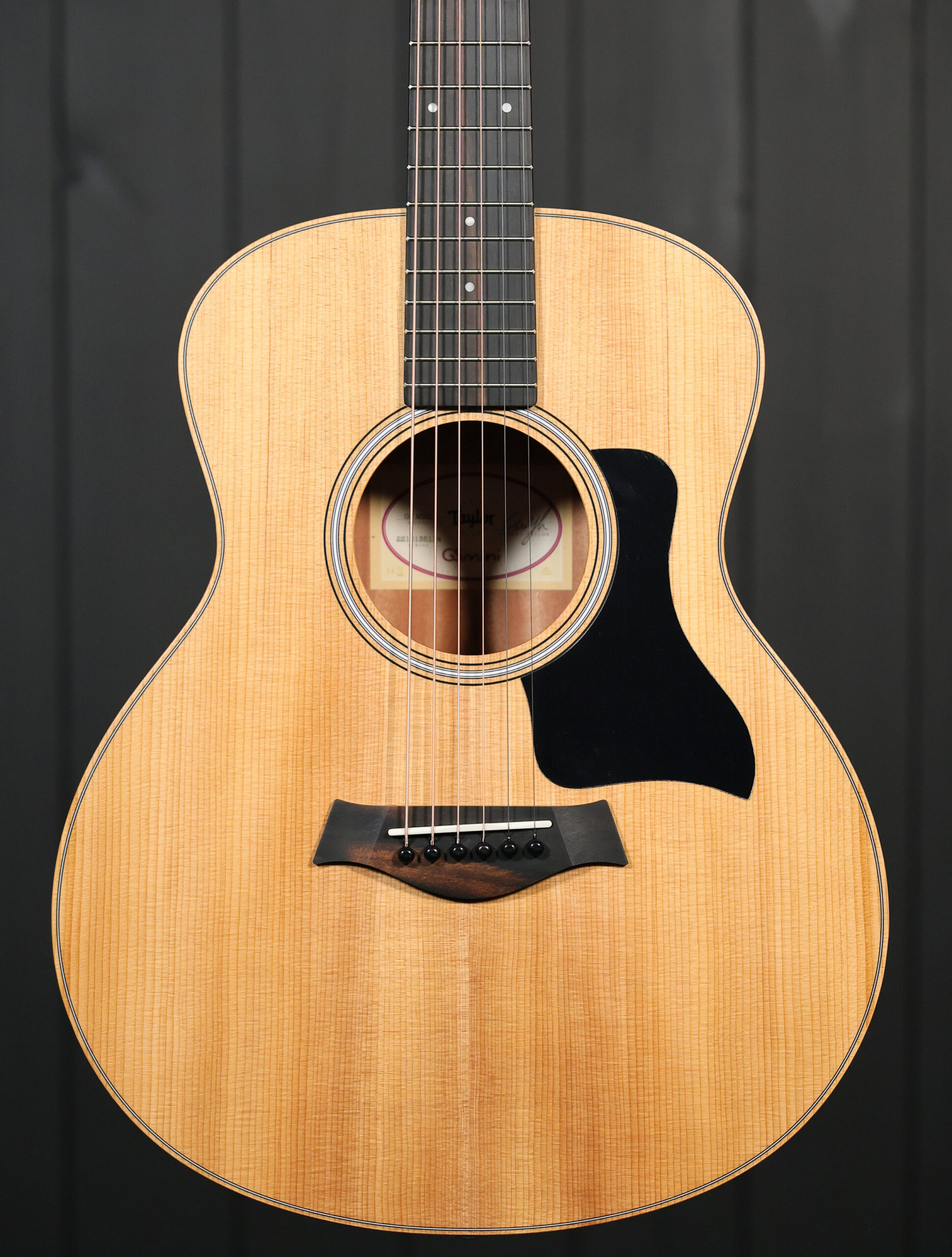 Taylor GS Mini Sapele