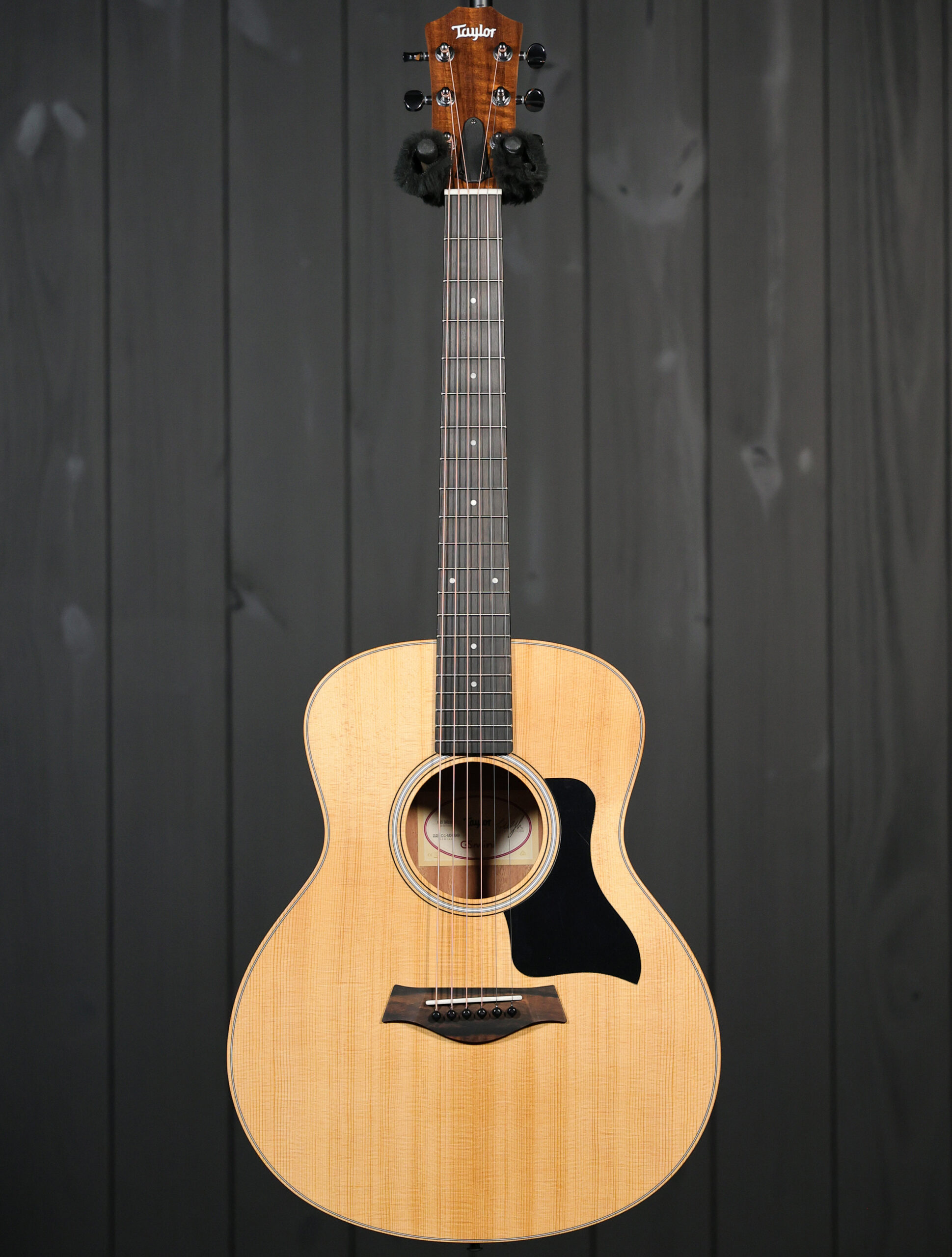 Taylor GS Mini Sapele - Image 4