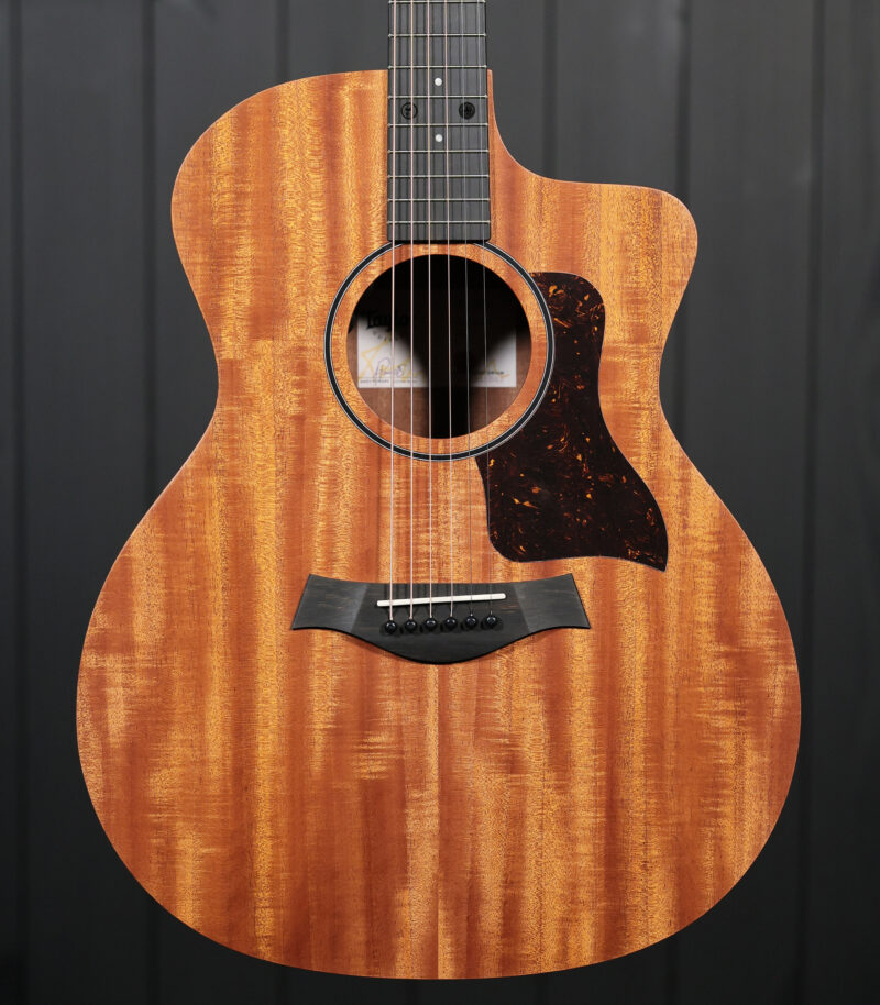 Taylor 24ce