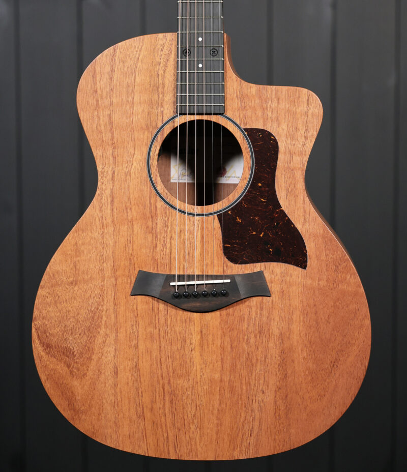 Taylor 24ce