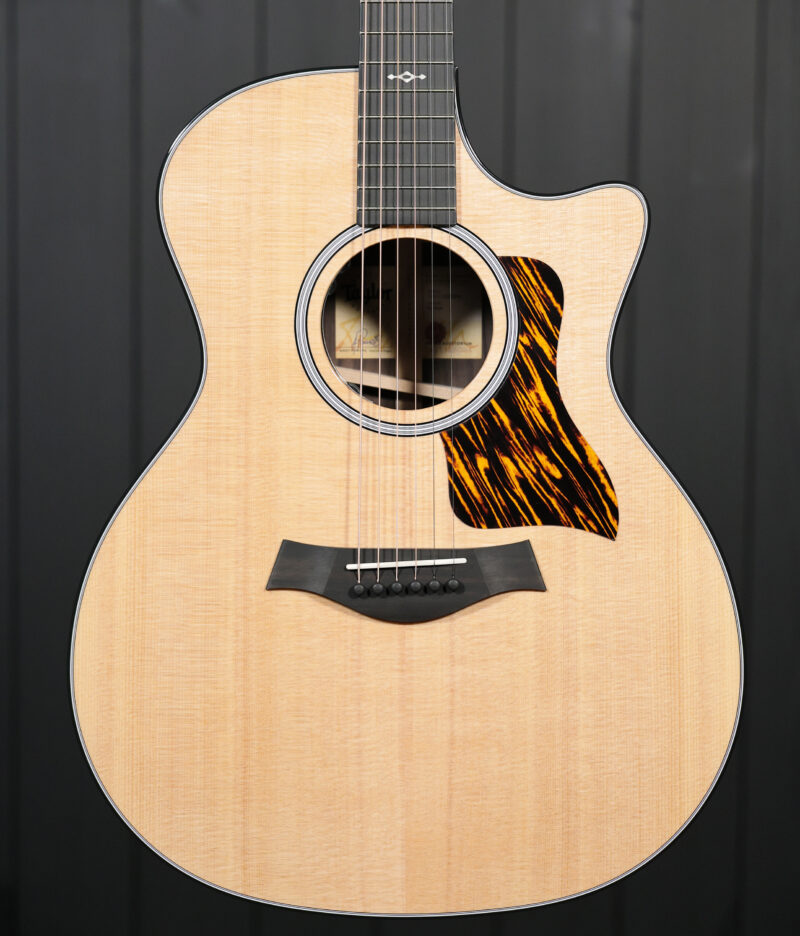 Taylor Next Generation 414ce