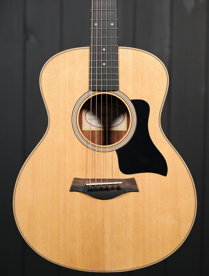 Taylor GS Mini Sapele