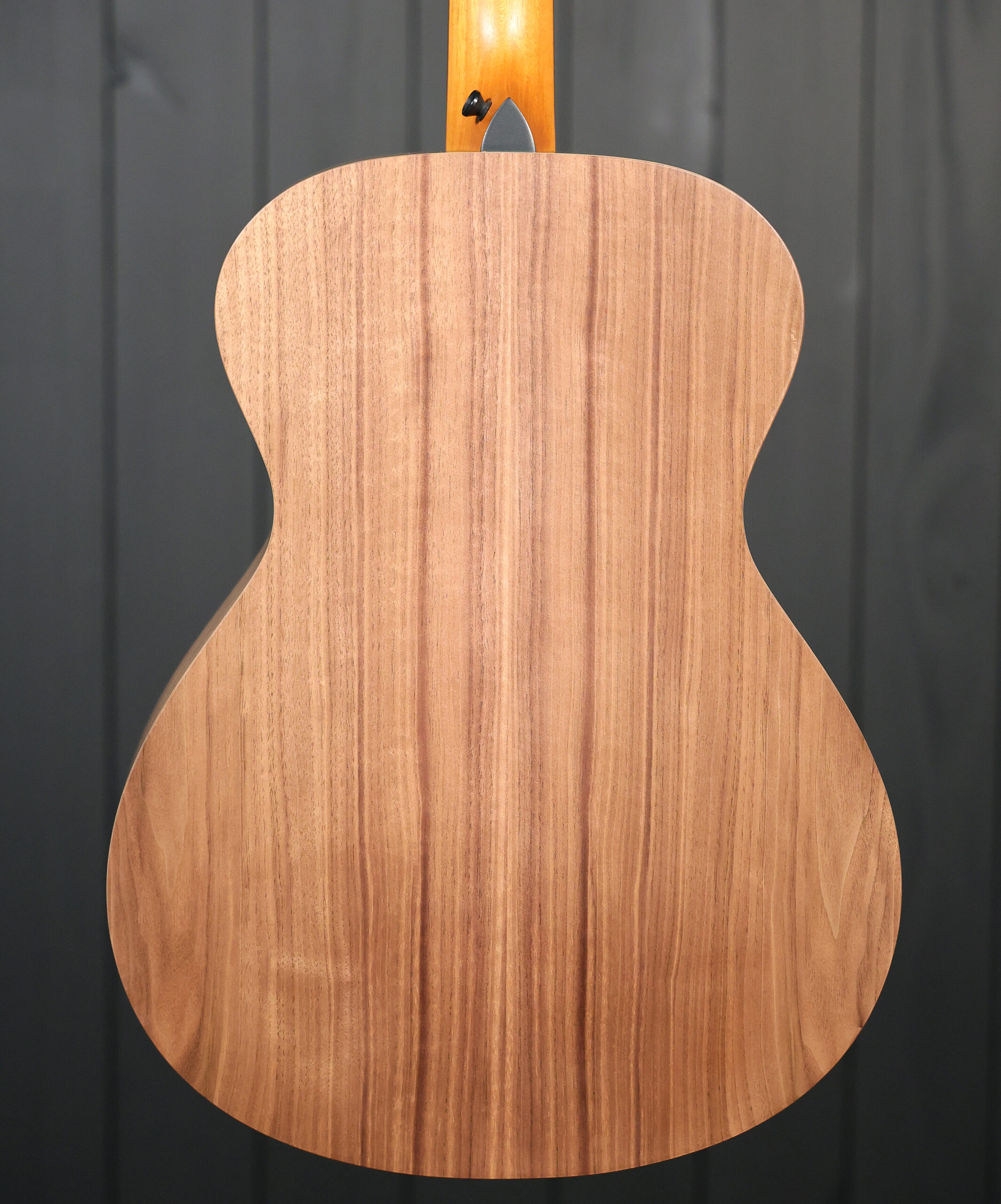 Taylor Jacob Collier Academy 22e 5-String - Image 5