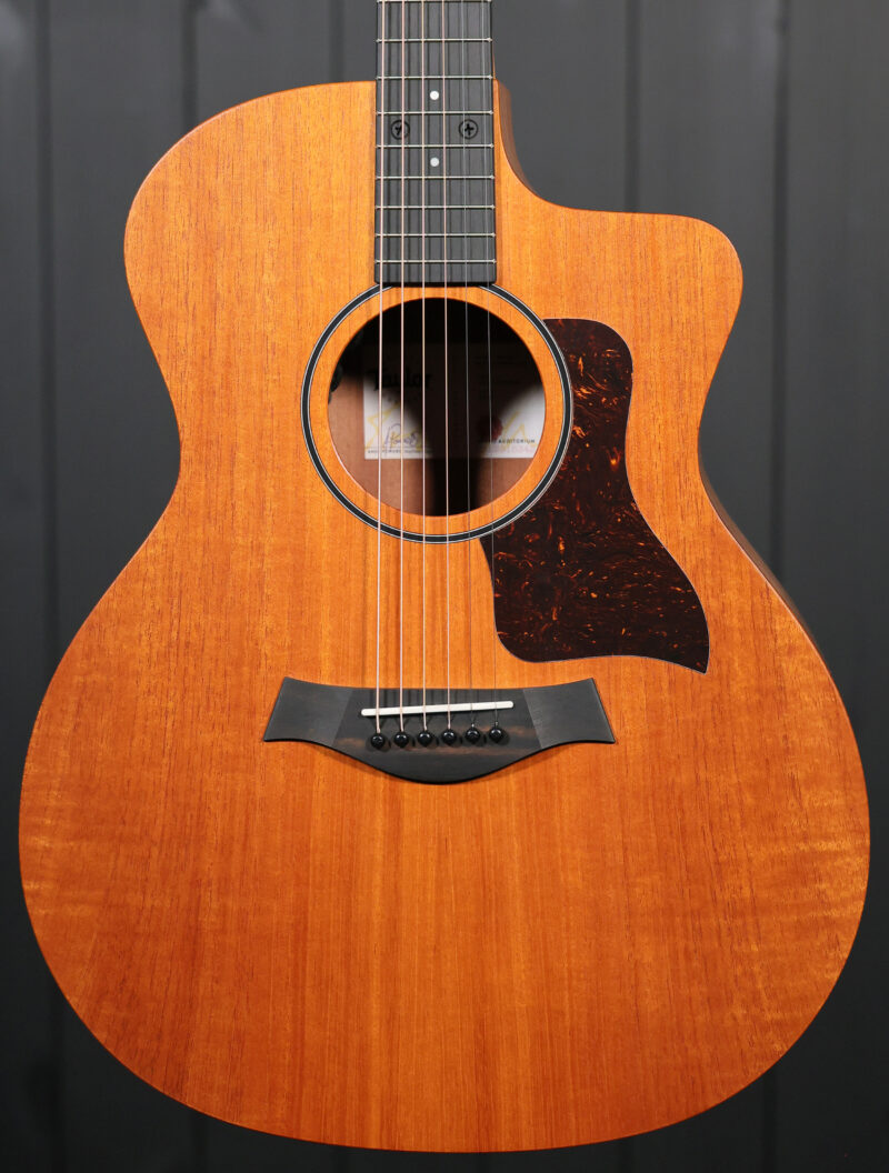 Taylor 24ce