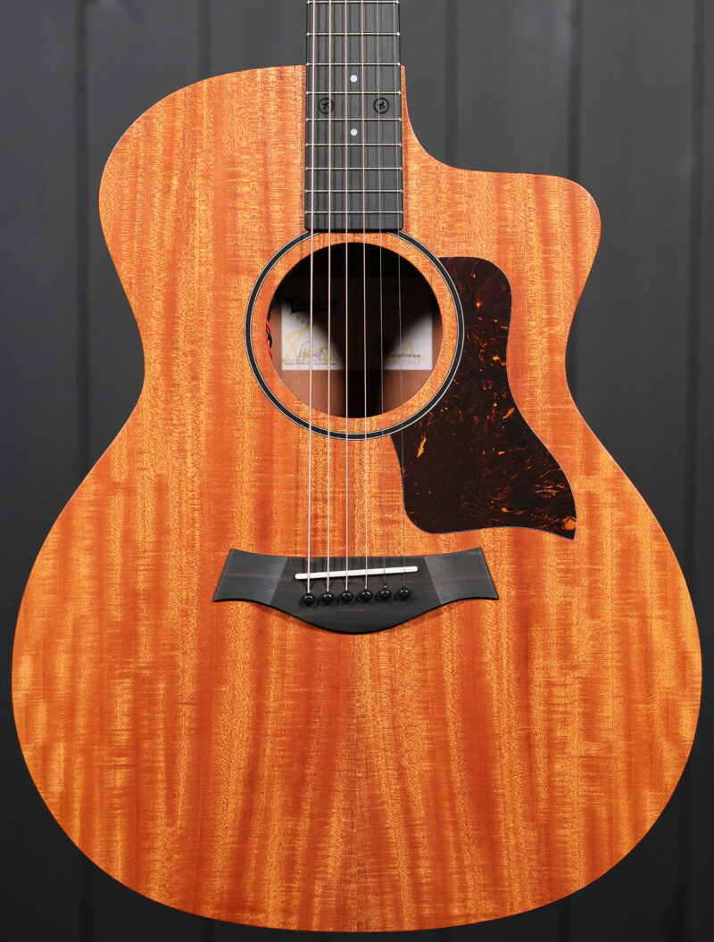 Taylor 24ce