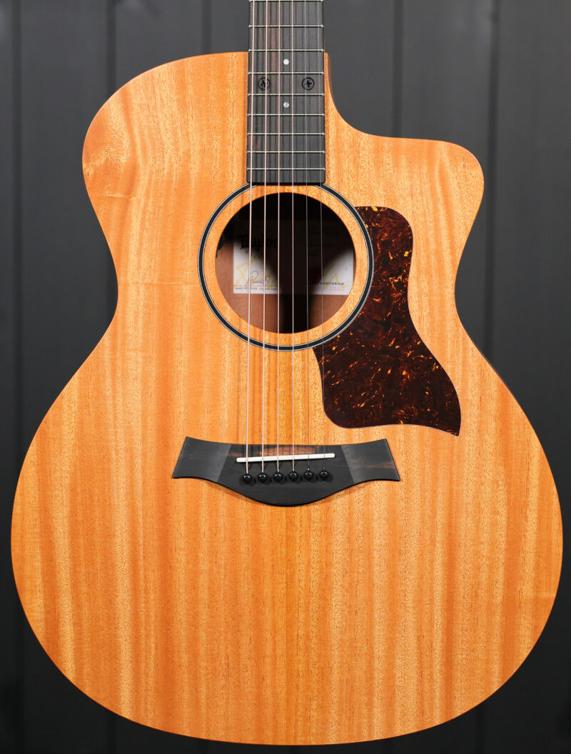 Taylor 24ce