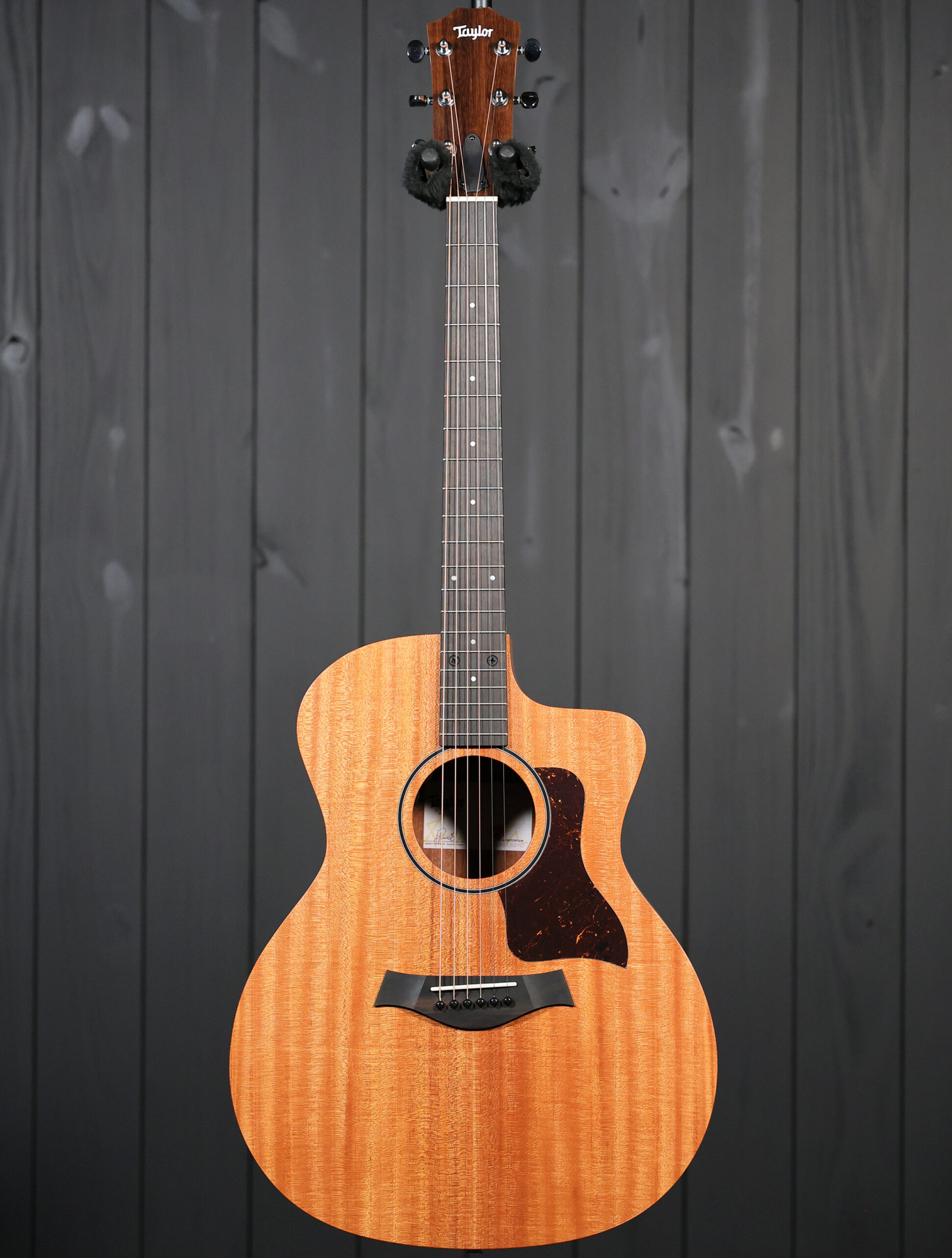 Taylor 24ce - Image 4