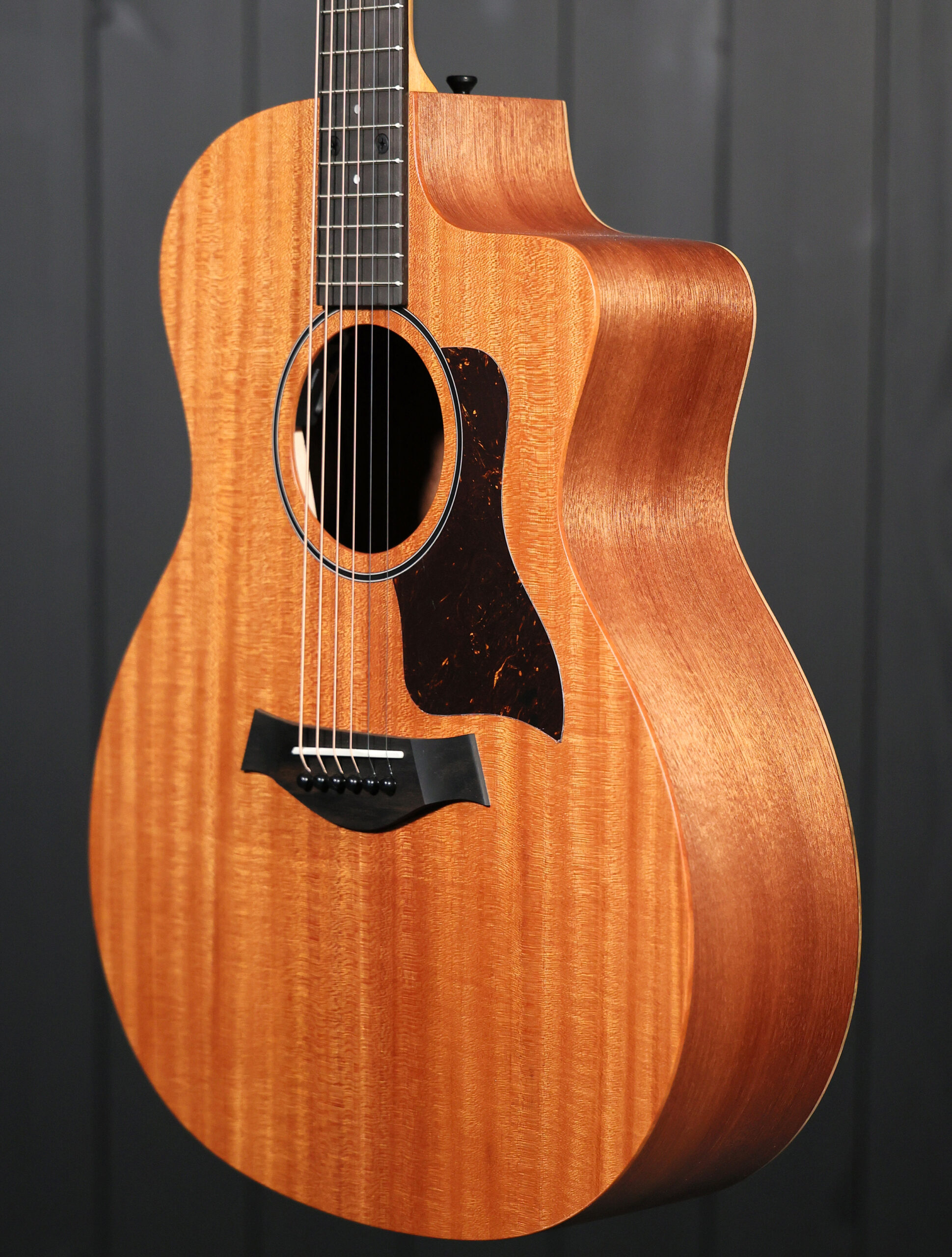 Taylor 24ce - Image 3