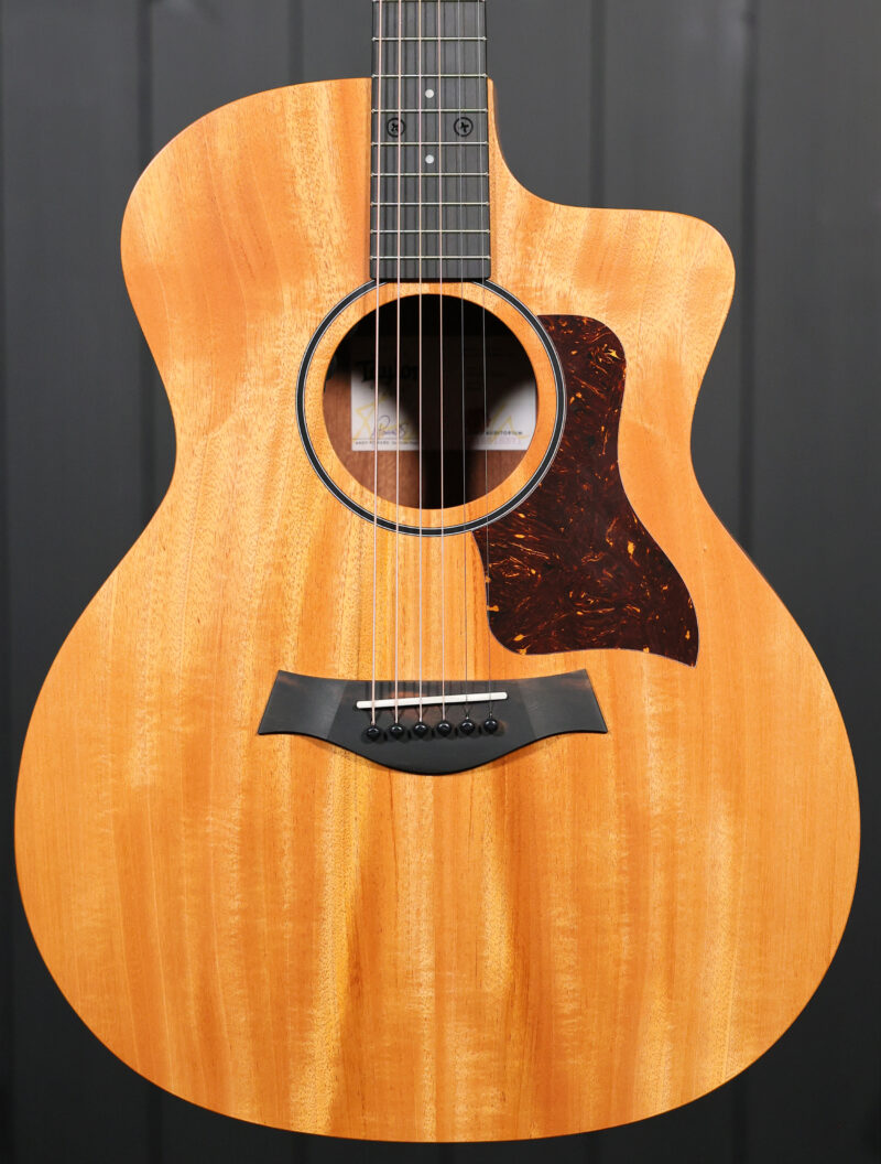 Taylor 24ce