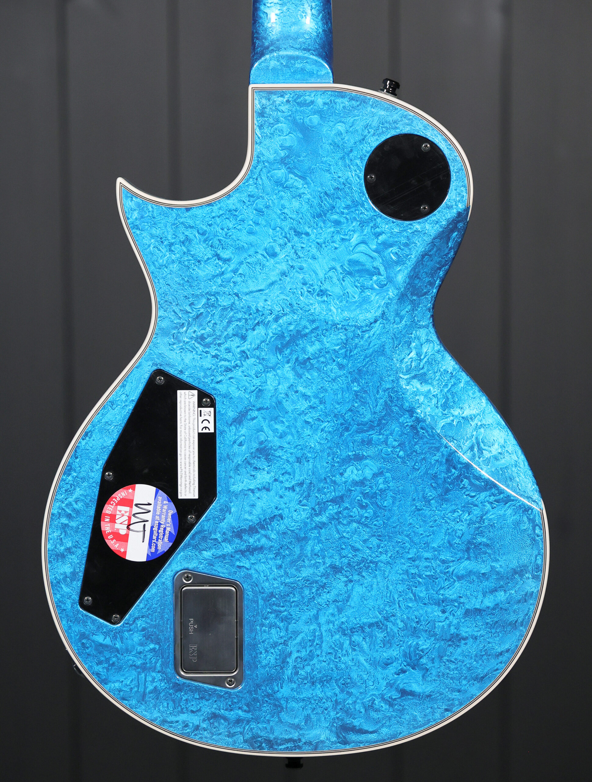ESP Original Eclipse Custom - Image 5
