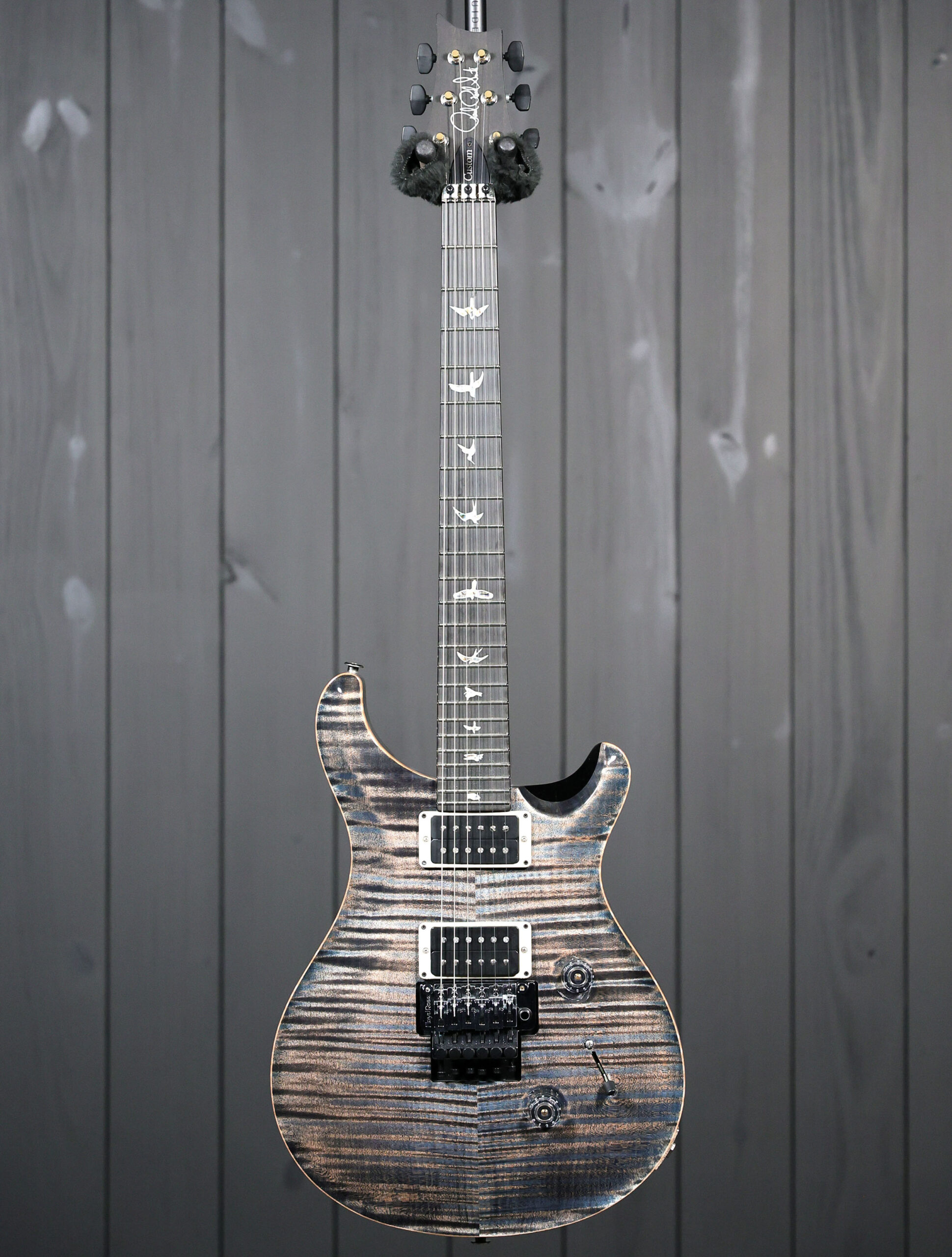 PRS Custom 24 "Floyd" (10-Top) - Image 4