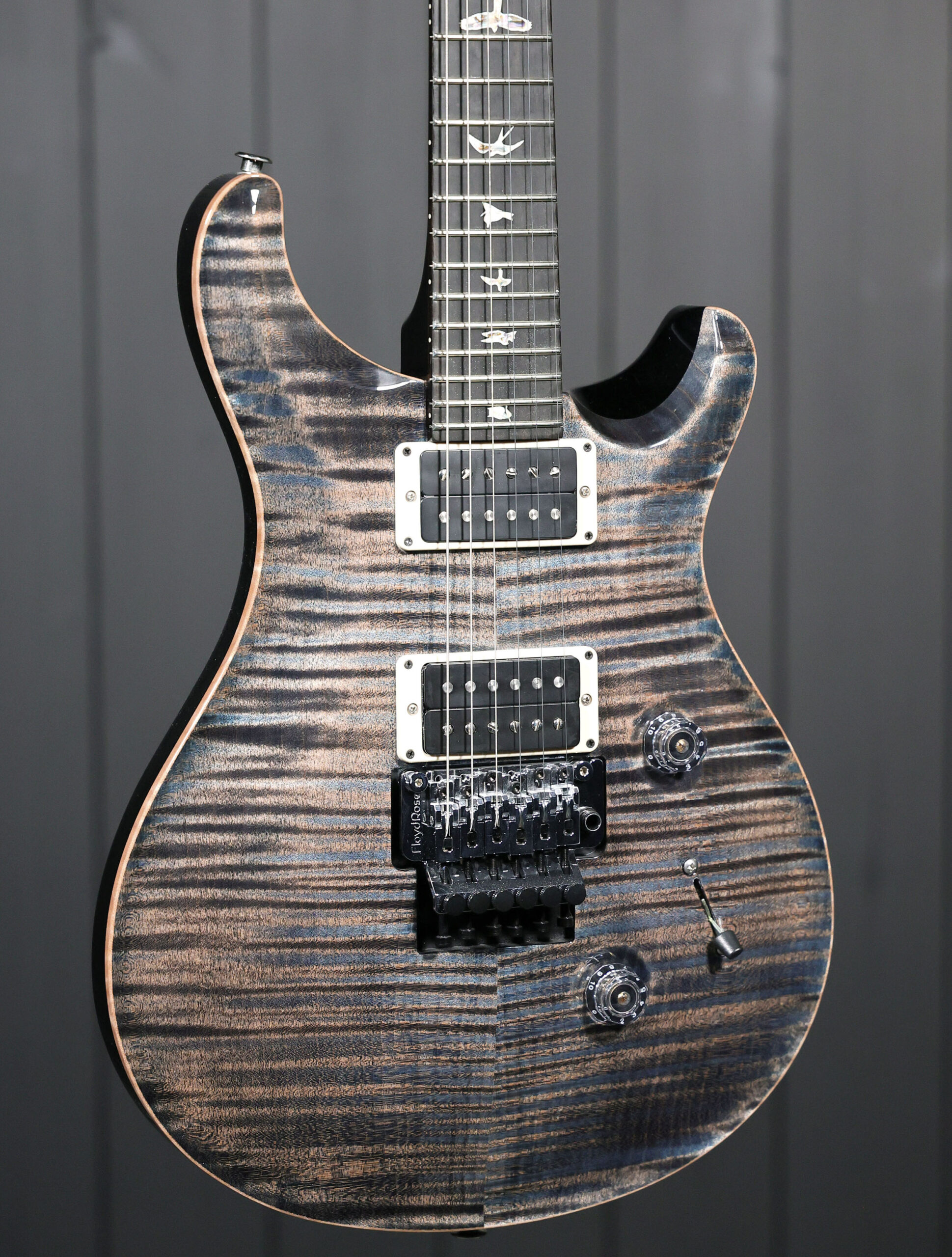 PRS Custom 24 "Floyd" (10-Top) - Image 2