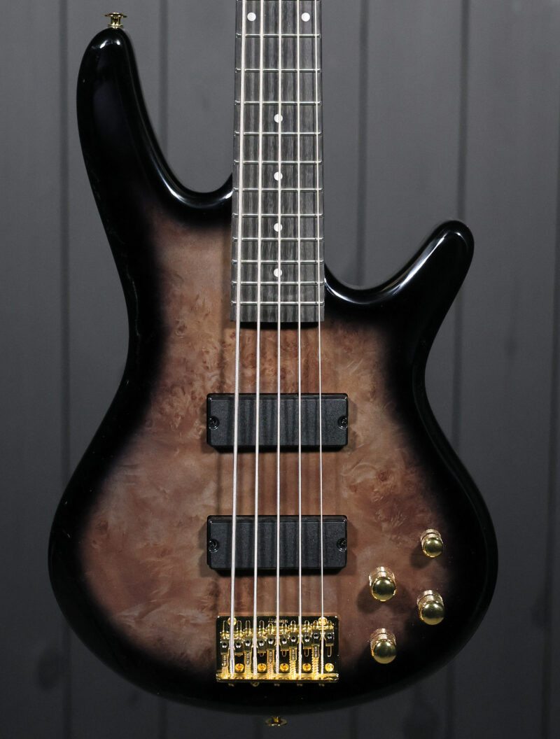 Ibanez GSR205PC