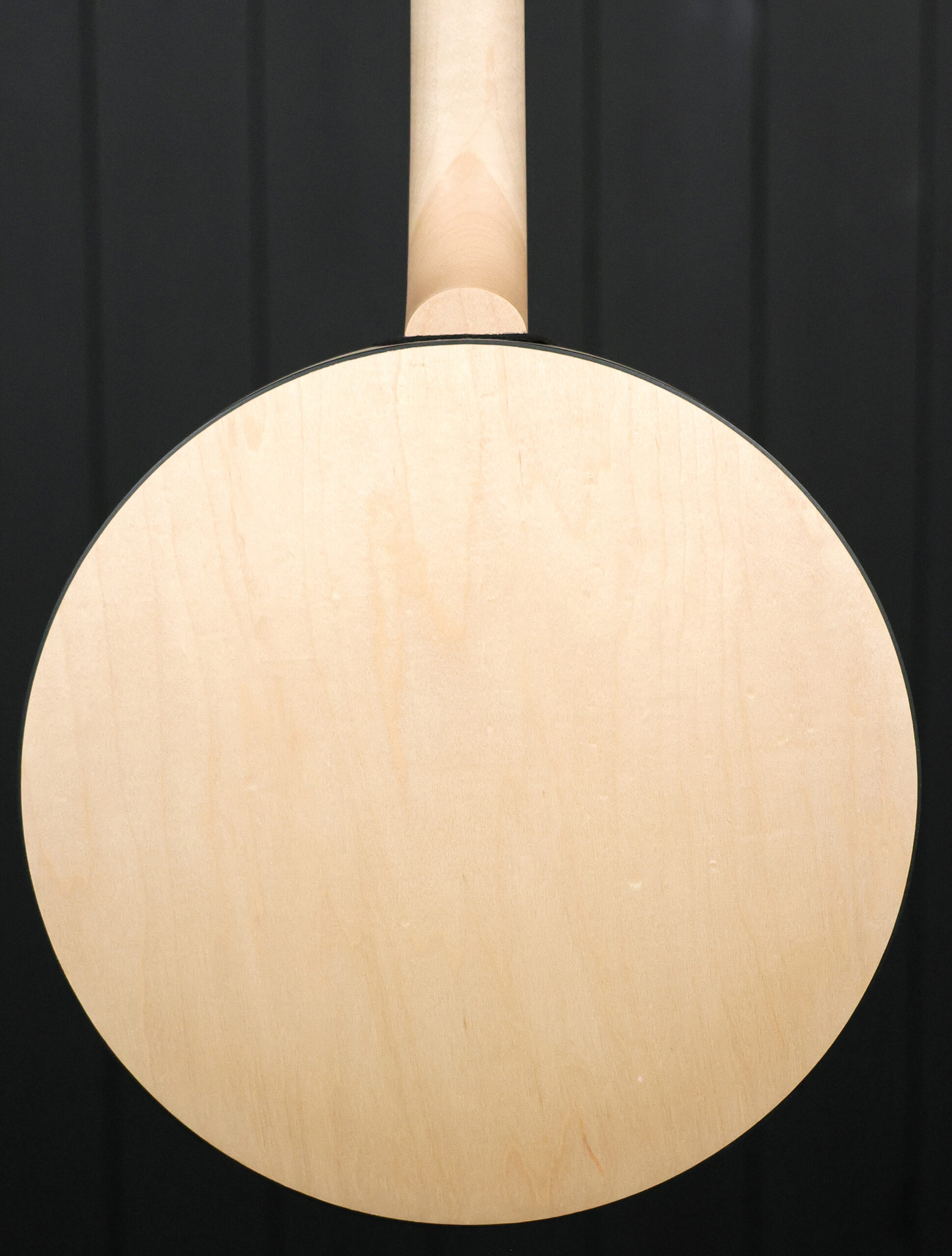 Deering Goodtime Special 5-string - Image 5