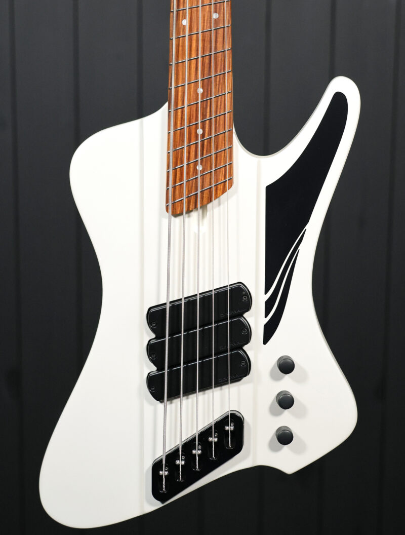 Dingwall D-Roc Standard