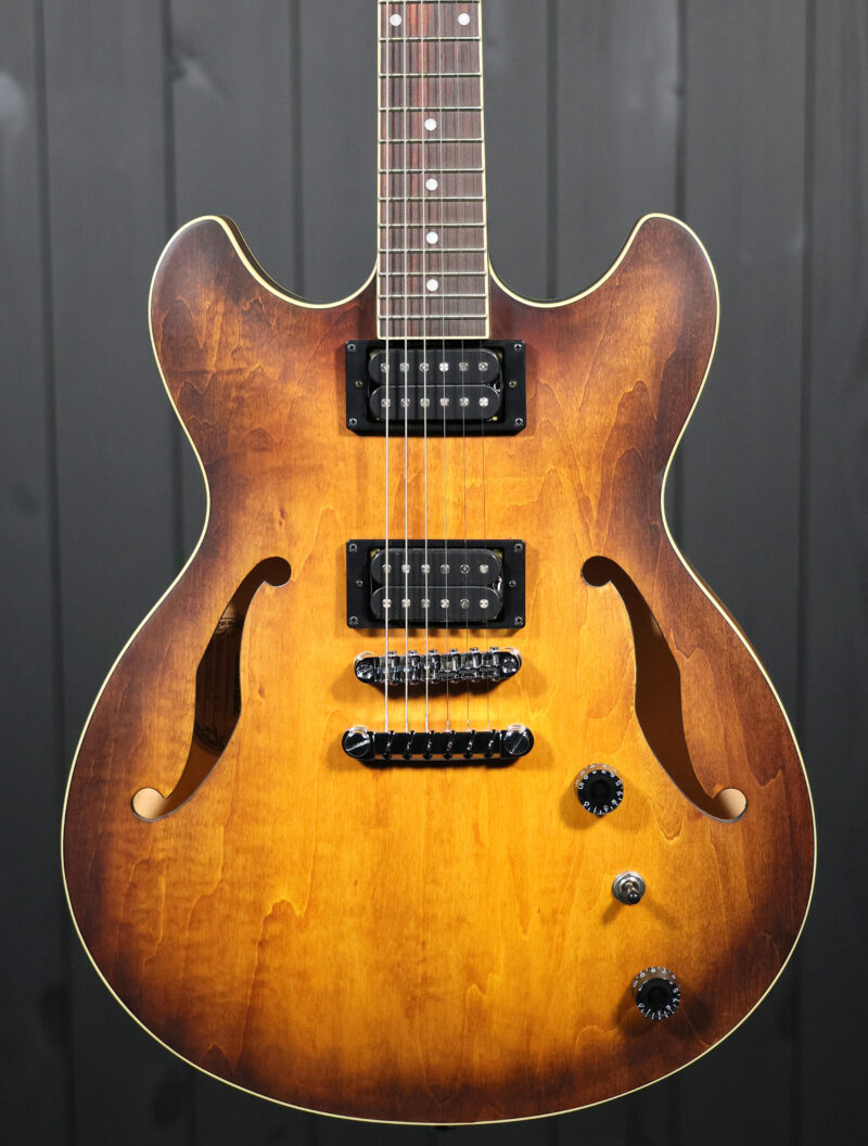 Ibanez AS53