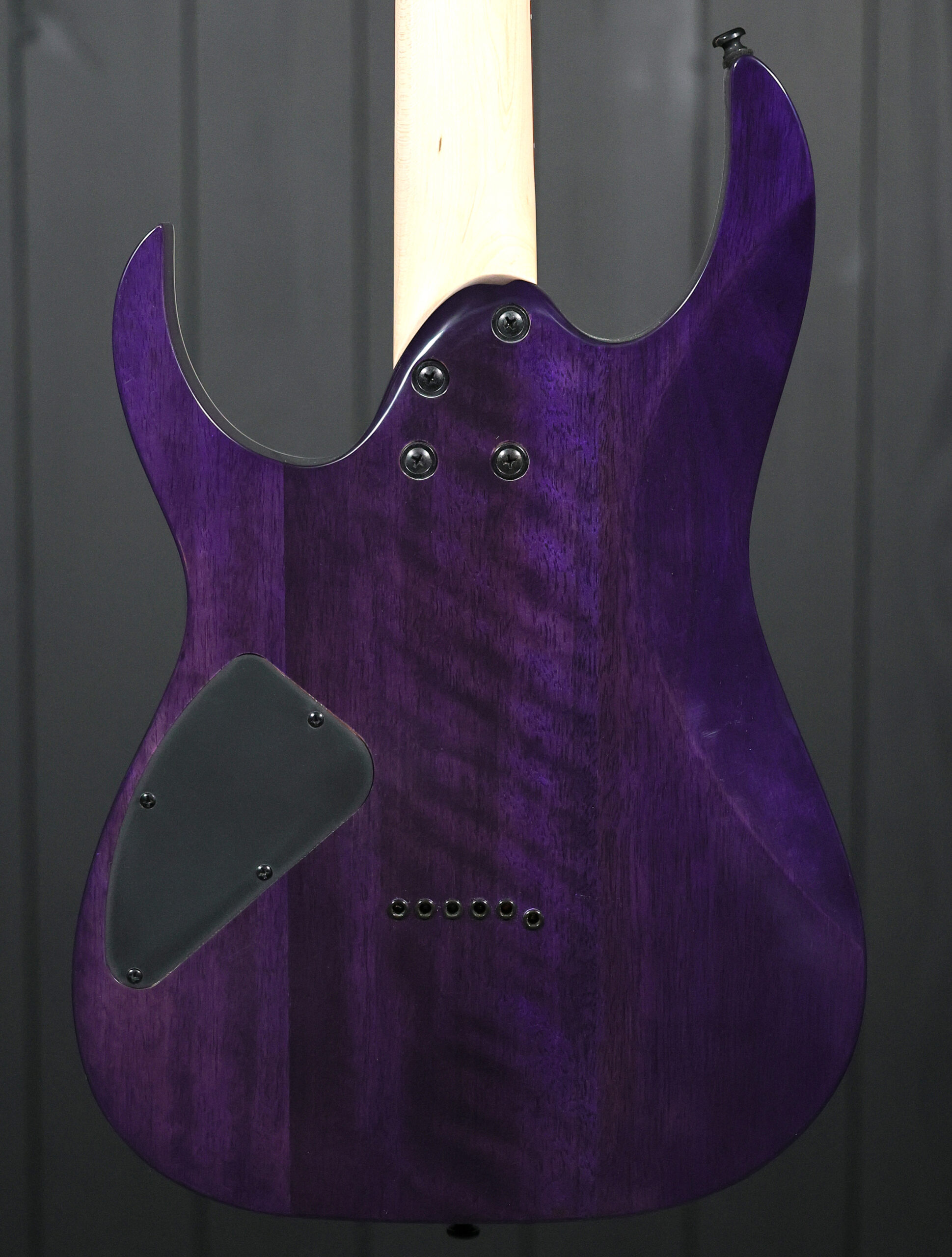 Ibanez RG421QM - Image 5