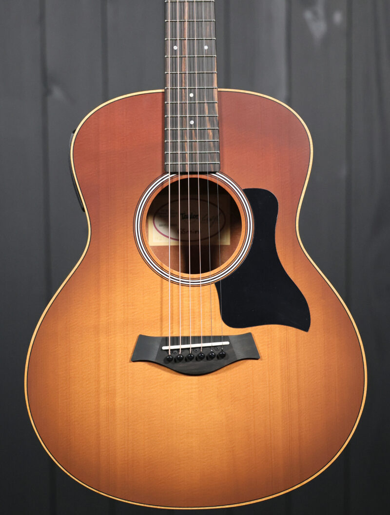 Taylor GS Mini-e Special Edition