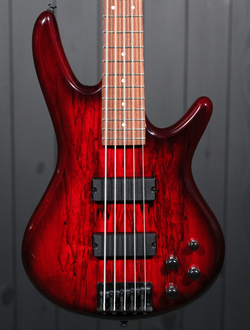 Ibanez GSR205SM