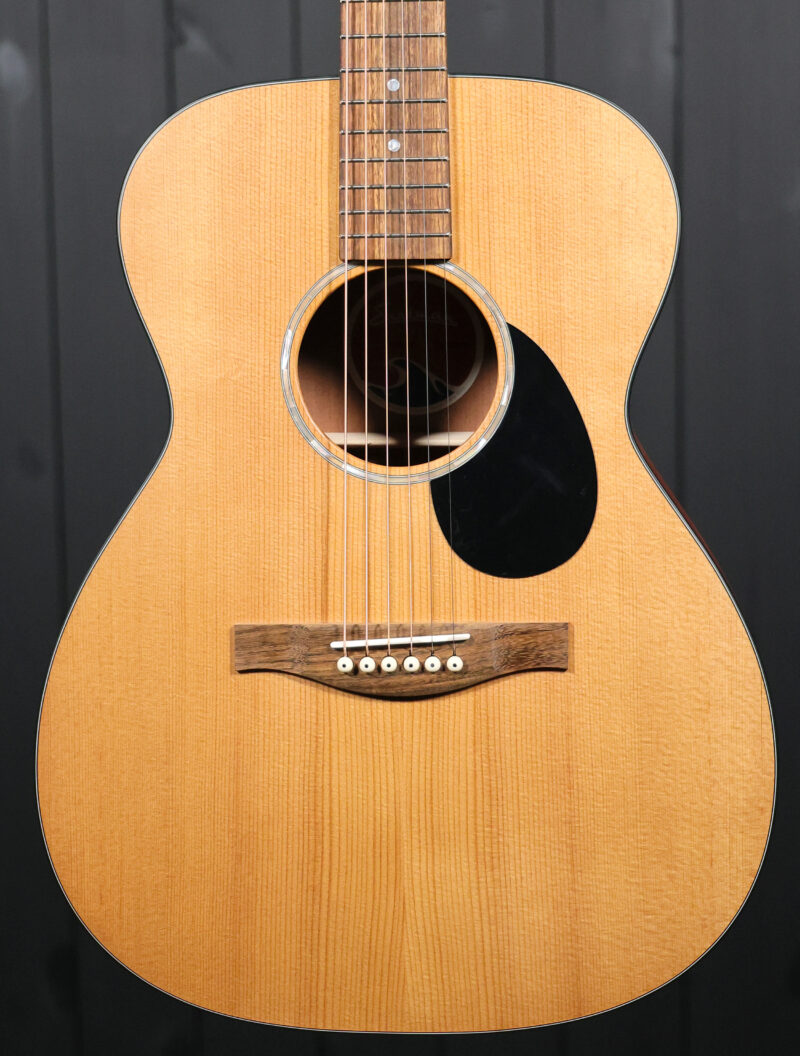 Eastman PCH1-OM