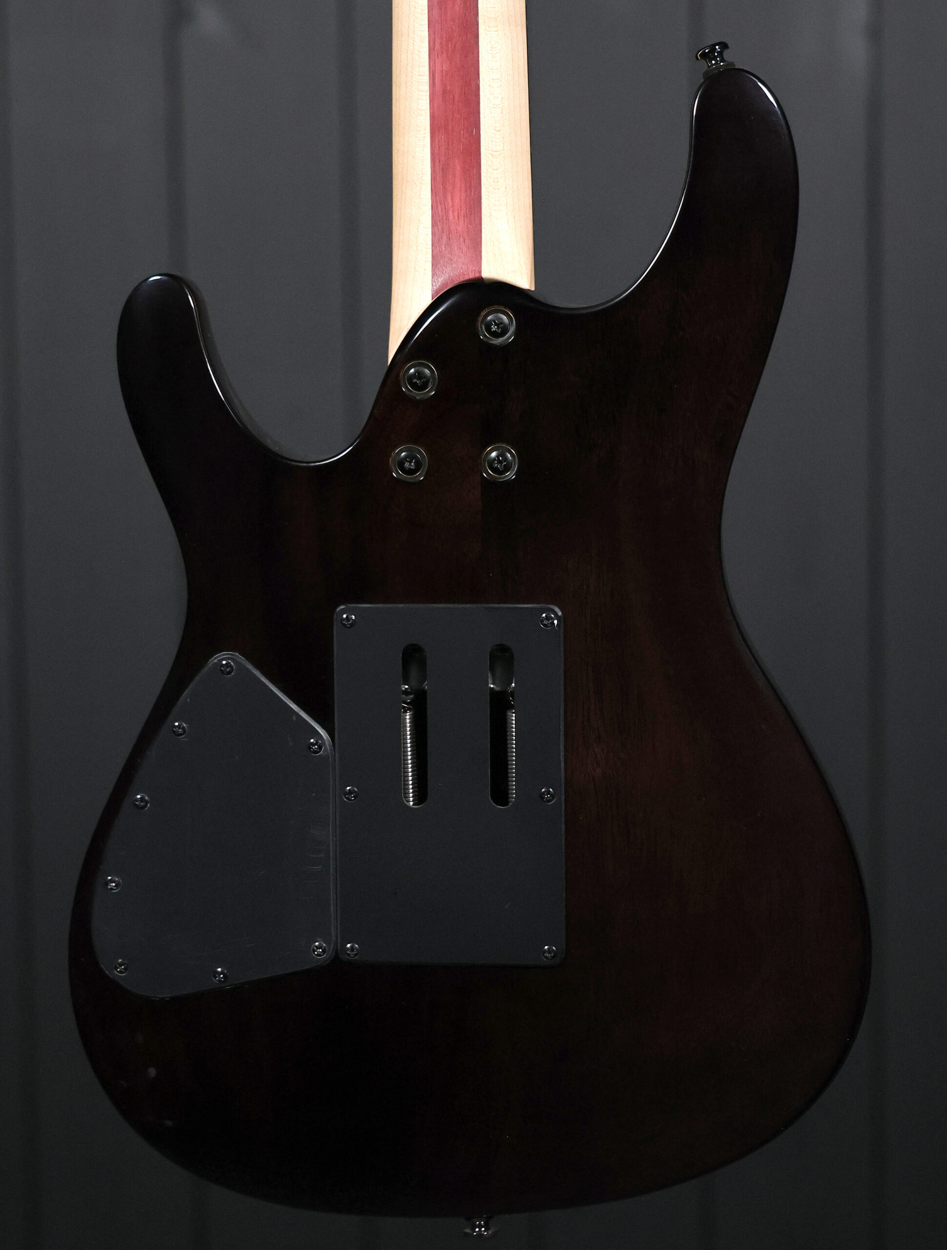 Ibanez Nita Strauss Signature JIVA10 - Image 5