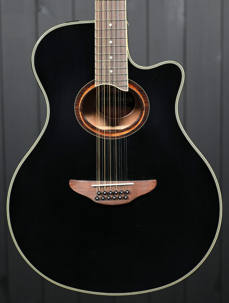 Yamaha APX700II-12