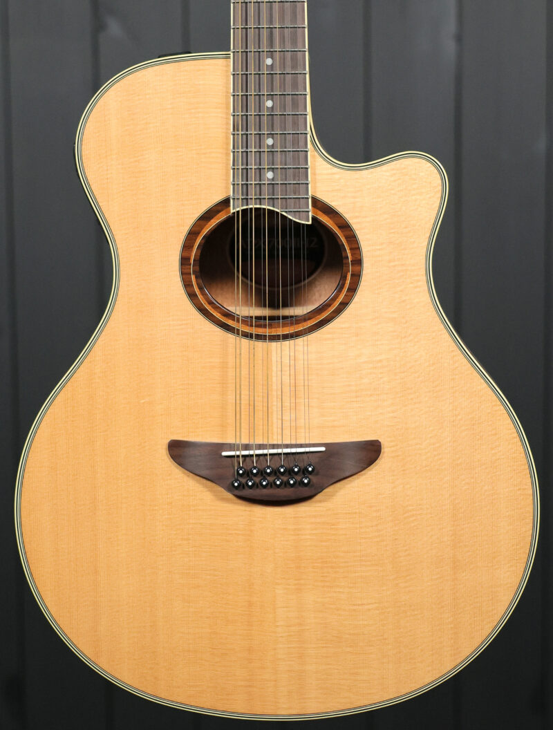 Yamaha APX700II-12