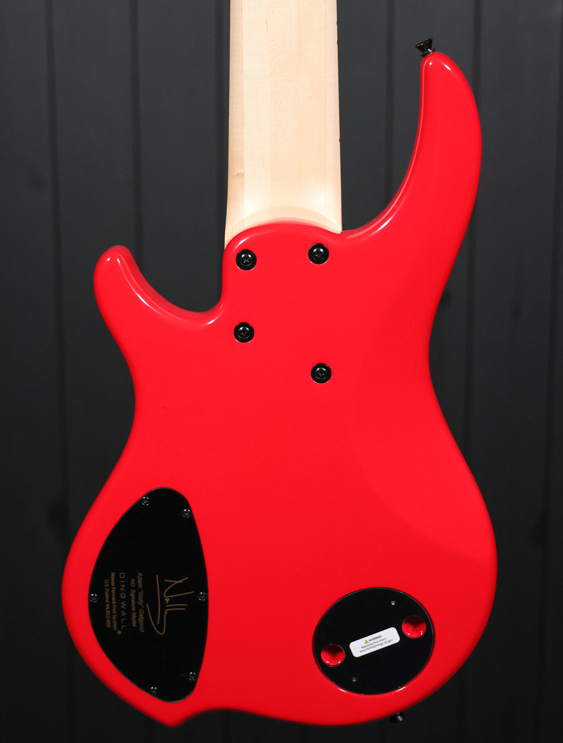 Dingwall Adam “Nolly” Getgood (NG) Signature 6-String - Image 3