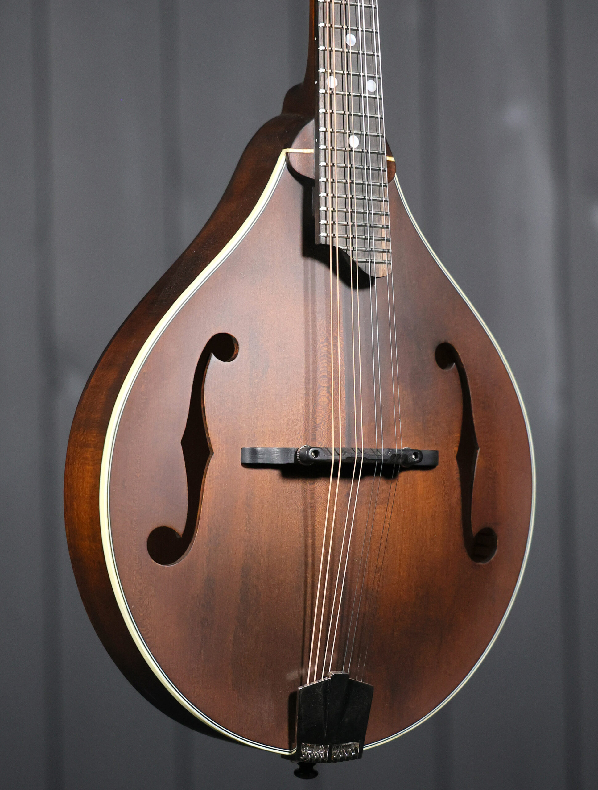 Eastman MD305 - Image 2
