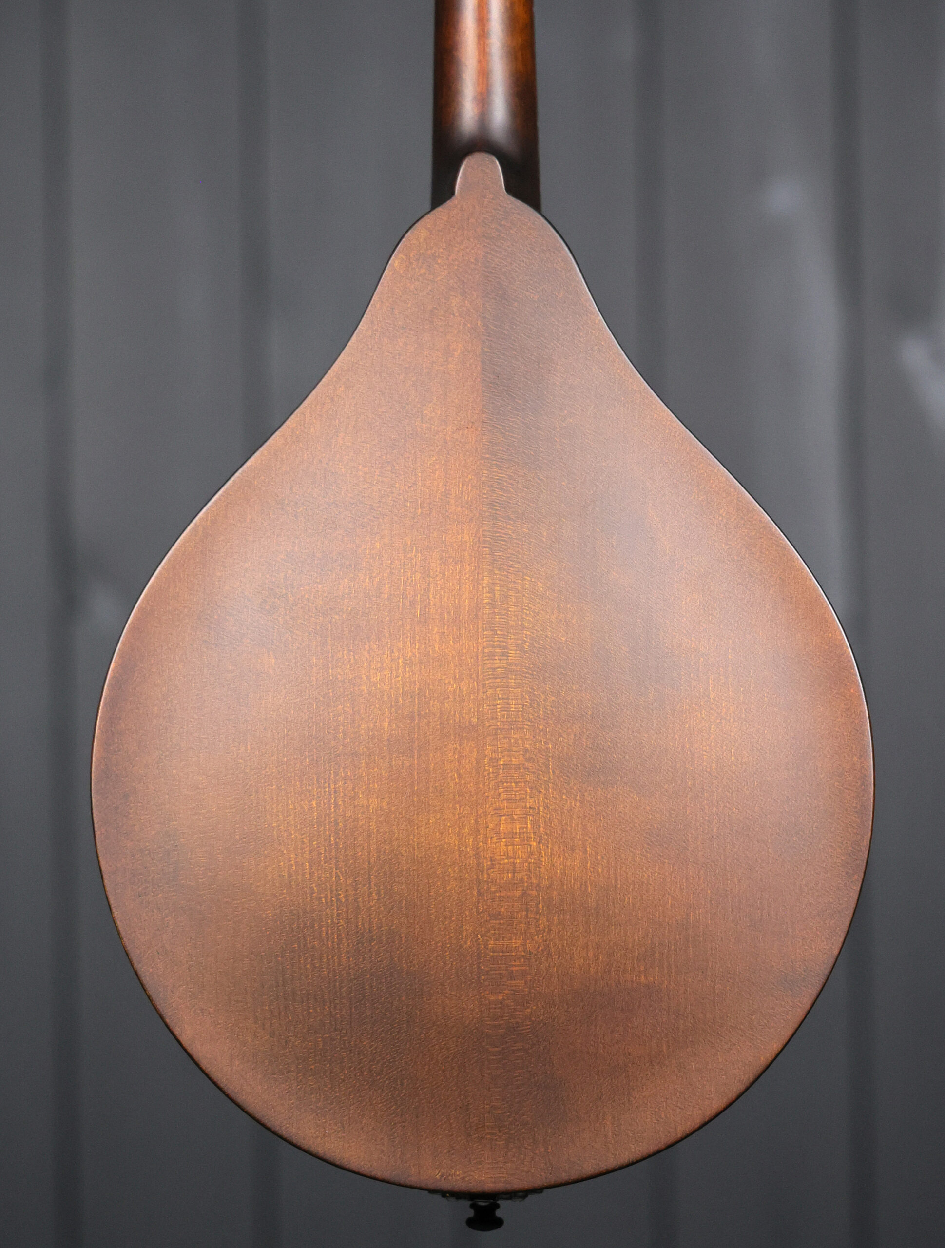 Eastman MD305 - Image 5