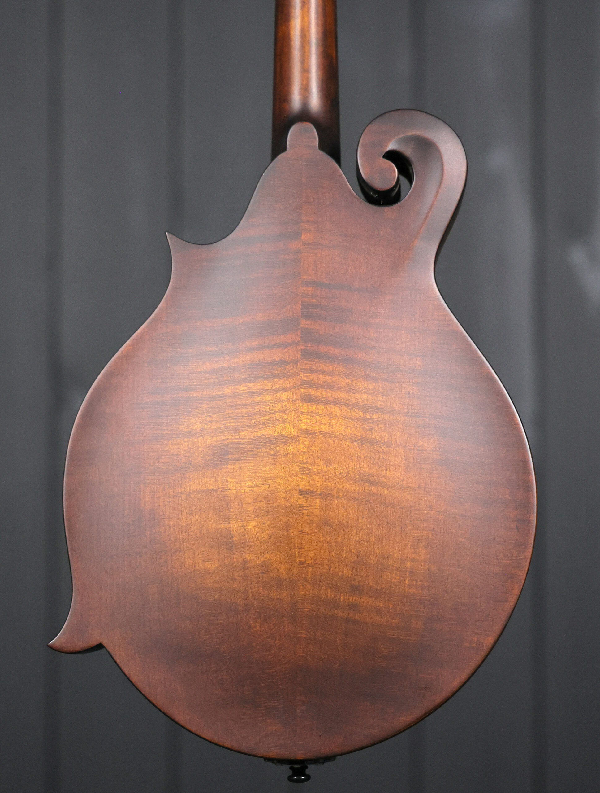 Eastman MD315 - Image 5