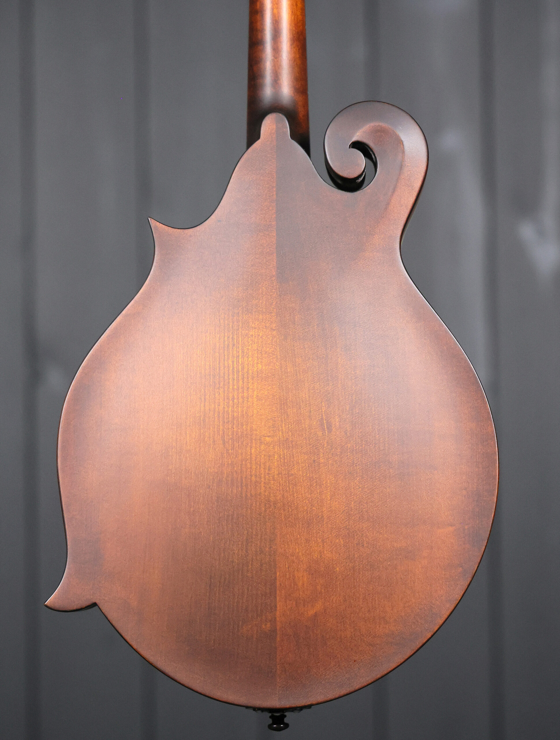 Eastman MD315 - Image 5